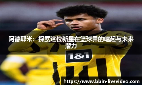 BBIN网址